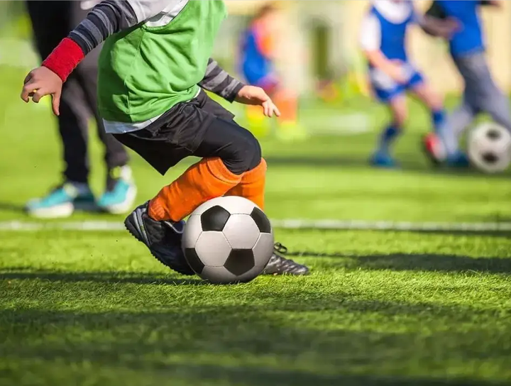 使詹姆斯能 使詹姆斯能