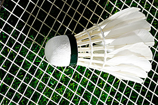 皇馬的決定 皇馬的決定