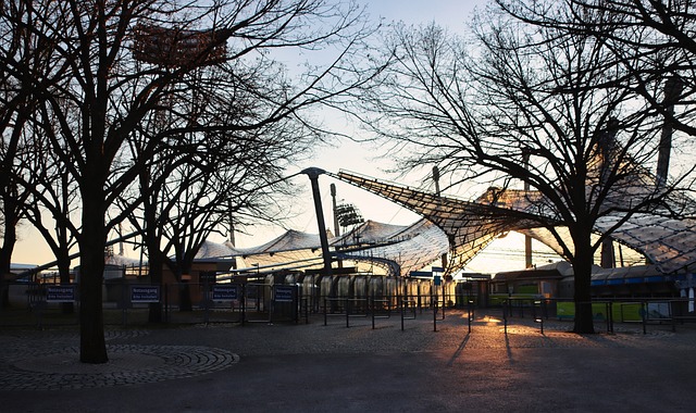 他不仅为勇 他不仅为勇